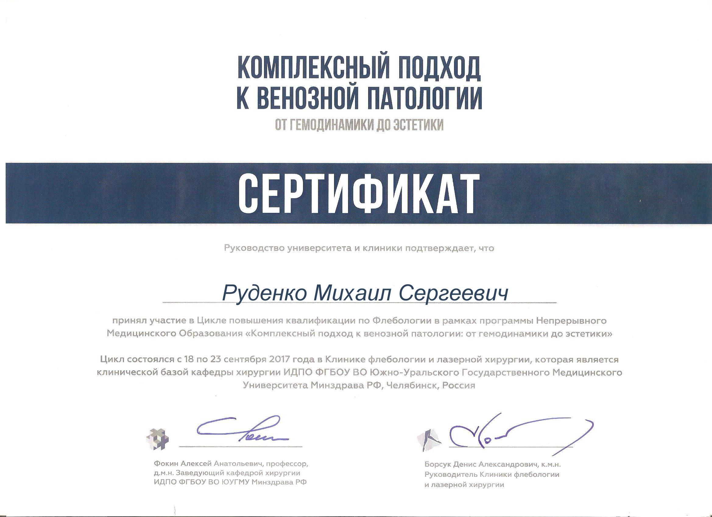сертификат руденко михаил