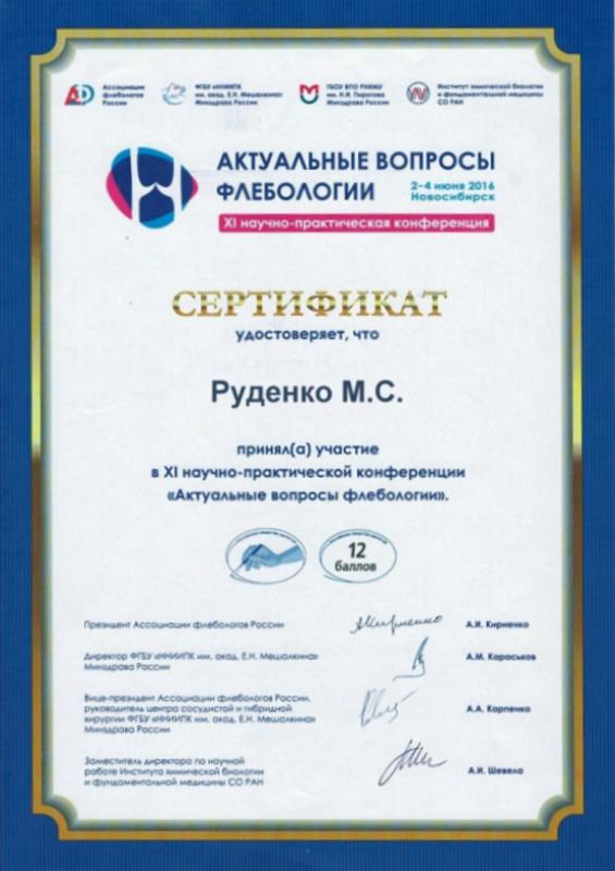 сертификат руденко михаил